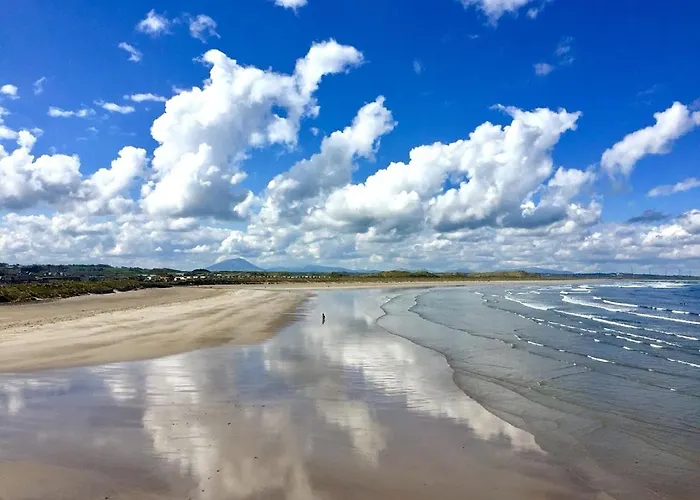 Guest Проживание в семье *