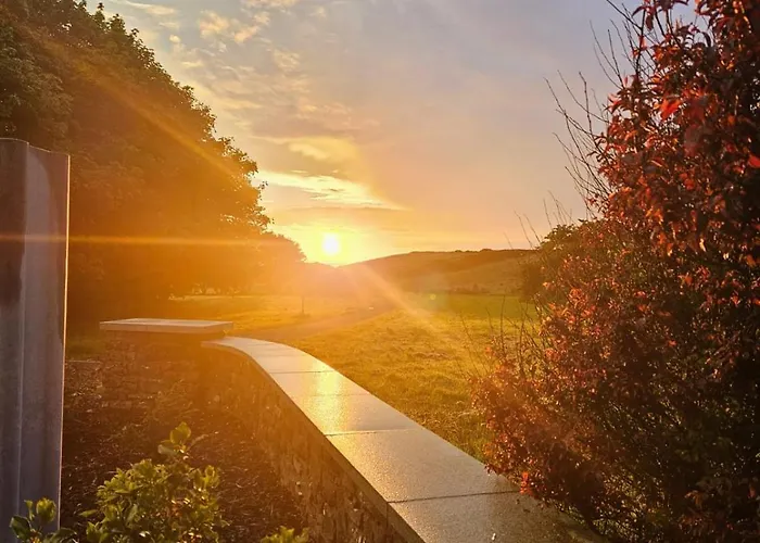 Guest Проживание в семье